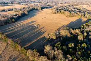 6008 FM 344, Bullard, TX 75757 - Photo 39