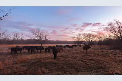 6008 Fm 344, Bullard, TX 75757 - Photo 7