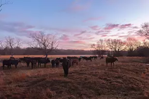 6008 FM 344, Bullard, TX 75757 - Photo 7