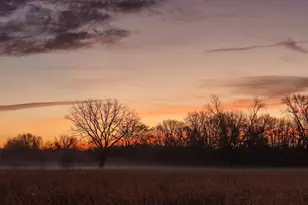 6008 FM 344, Bullard, TX 75757 - Photo 5