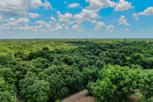 Tbd Shelby Ln, Ladonia, TX 75449 - Photo 1