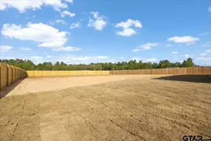2732 County Rd 328 W, Tyler, TX 75706 - Photo 41