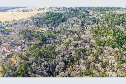 Tbd Neches Trace (15.951 Acres), Palestine, TX 75803 - Photo 5