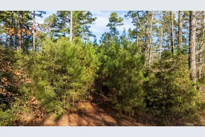 Tbd Neches Trace (15.951 Acres), Palestine, TX 75803 - Photo 13