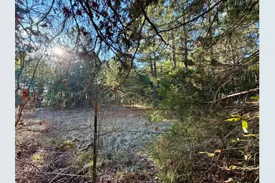 0 Brad Spann Rd, Marshall, TX 75672 - Photo 5