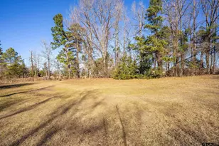 8439 Hyena Rd, Gilmer, TX 75644 - Photo 17