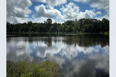 Tbd Acr 314, Frankston, TX 75763 - Photo 13