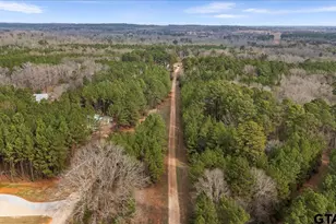 11631 Moser Ln, Whitehouse, TX 75791 - Photo 45