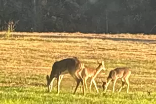 11631 Moser Ln, Whitehouse, TX 75791 - Photo 41