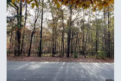 14632 Reserve Ct, Tyler, TX 75707 - Photo 11