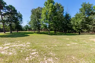 3014 Co Rd 3550, Holly Lake Ranch, TX 75765 - Photo 5