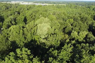 1111 Gilmer Rd, Winnsboro, TX 75494 - Photo 33