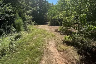 1111 Gilmer Rd, Winnsboro, TX 75494 - Photo 41