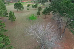 Tract 2 000 Fm 2493 E, Bullard, TX 75757 - Photo 7