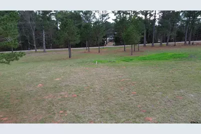 Tract 3 000 Cr 3806, Bullard, TX 75757 - Photo 17