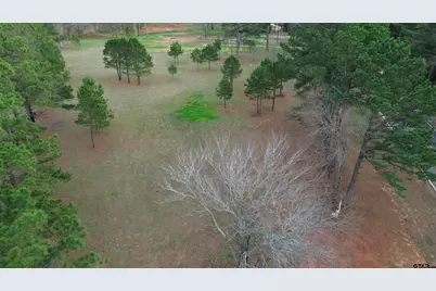 Tract 3 000 Cr 3806, Bullard, TX 75757 - Photo 7