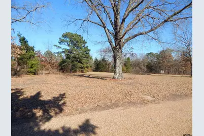 6008 Doe Trail, Gilmer, TX 75645 - Photo 35