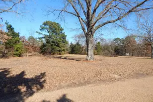 6008 Doe Trail, Gilmer, TX 75645 - Photo 35