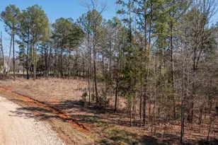 21324 Gatlinburg Rd, Bullard, TX 75757 - Photo 11