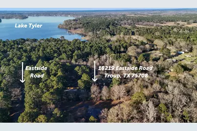 18219 Eastside, Troup, TX 75789 - Photo 41