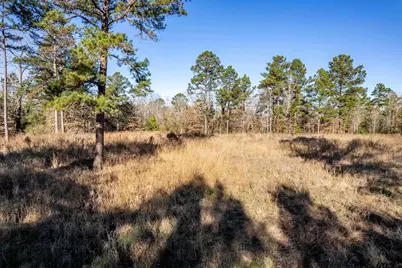 Tbd County Road 1231, Palestine, TX 75801 - Photo 11