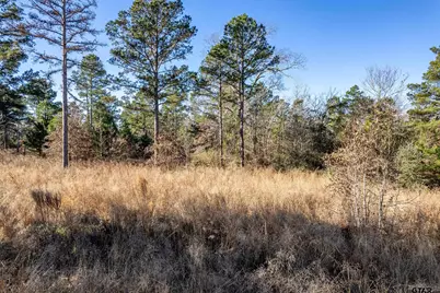 Tbd County Road 1231, Palestine, TX 75801 - Photo 7