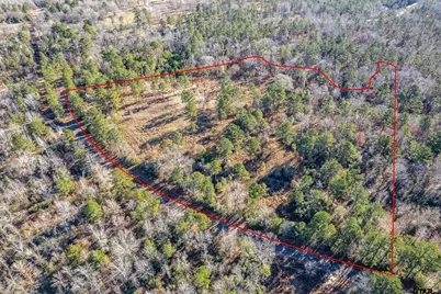 Tbd County Road 1231, Palestine, TX 75801 - Photo 15