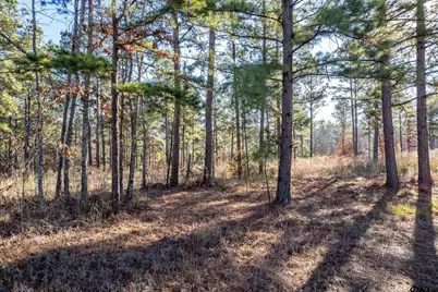 Tbd County Road 1231, Palestine, TX 75801 - Photo 3