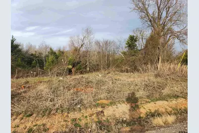 Lot 1 Cr 2310, Sulphur Springs, TX 75482 - Photo 1