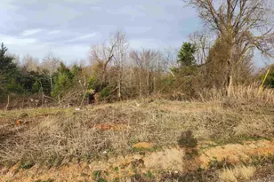 Lot 2 Cr 2310, Sulphur Springs, TX 75482 - Photo 1