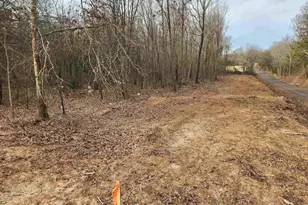 Lot 6 Cr 2341, Sulphur Springs, TX 75482 - Photo 1