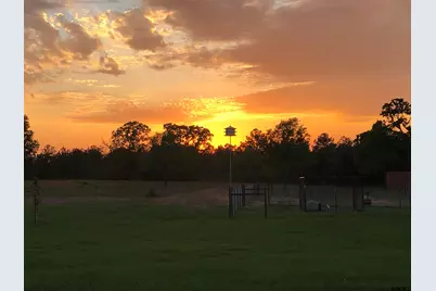 1026 An County Road 2218, Tennessee Colony, TX 75861 - Photo 47