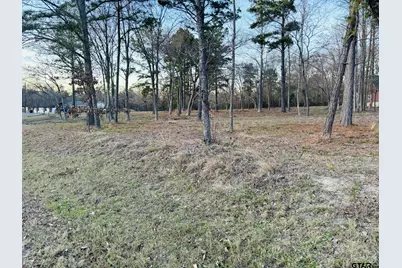 0 Cr 2269, Mineola, TX 75773 - Photo 9