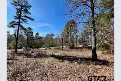 Lot 10 Cr 3545, Hawkins, TX 75765 - Photo 13