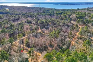 18737 Saddleback Ln, Flint, TX 75762 - Photo 47