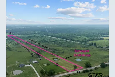 Tbd Fm 1995, Van, TX 75790 - Photo 3