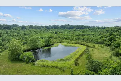 Tbd Fm 1995, Van, TX 75790 - Photo 13