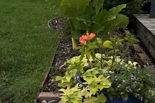 1208 W Rieck Rd, Tyler, TX 75703 - Photo 35