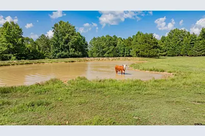 7635 N US Highway 271, Mount Pleasant, TX 75455 - Photo 39