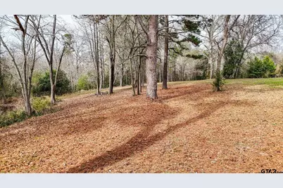 Tbd Castleberry Rd (Lot 3), Brownsboro, TX 75756 - Photo 3