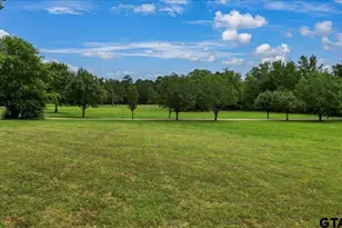 6299 US Hwy 271, Gilmer, TX 75644 - Photo 29