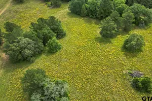 6299 US Hwy 271, Gilmer, TX 75644 - Photo 35