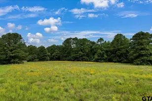 6299 US Hwy 271, Gilmer, TX 75644 - Photo 31