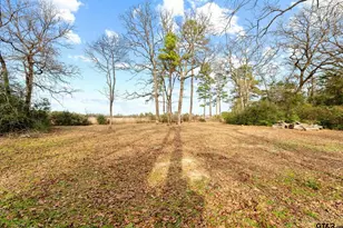 289 Pr 7819, Hawkins, TX 75765 - Photo 29