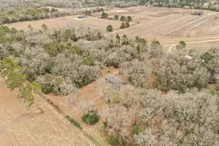 289 Pr 7819, Hawkins, TX 75765 - Photo 33