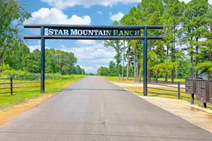 Lot 34 Creek Bottom Ct, Winona, TX 75792 - Photo 1