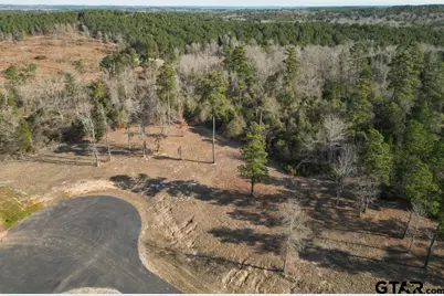 Lt 46 Marble Way, Hallsville, TX 75650 - Photo 3