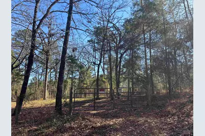 310 Private Road 8570, Winnsboro, TX 75494 - Photo 19