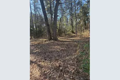 310 Private Road 8570, Winnsboro, TX 75494 - Photo 15