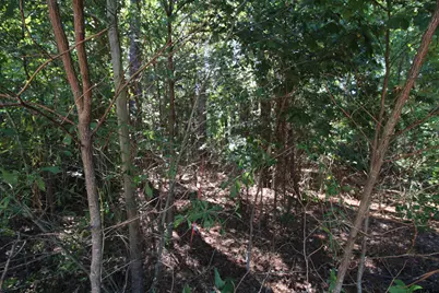 Lot 23 Briar Gove, Murchison, TX 75778 - Photo 3